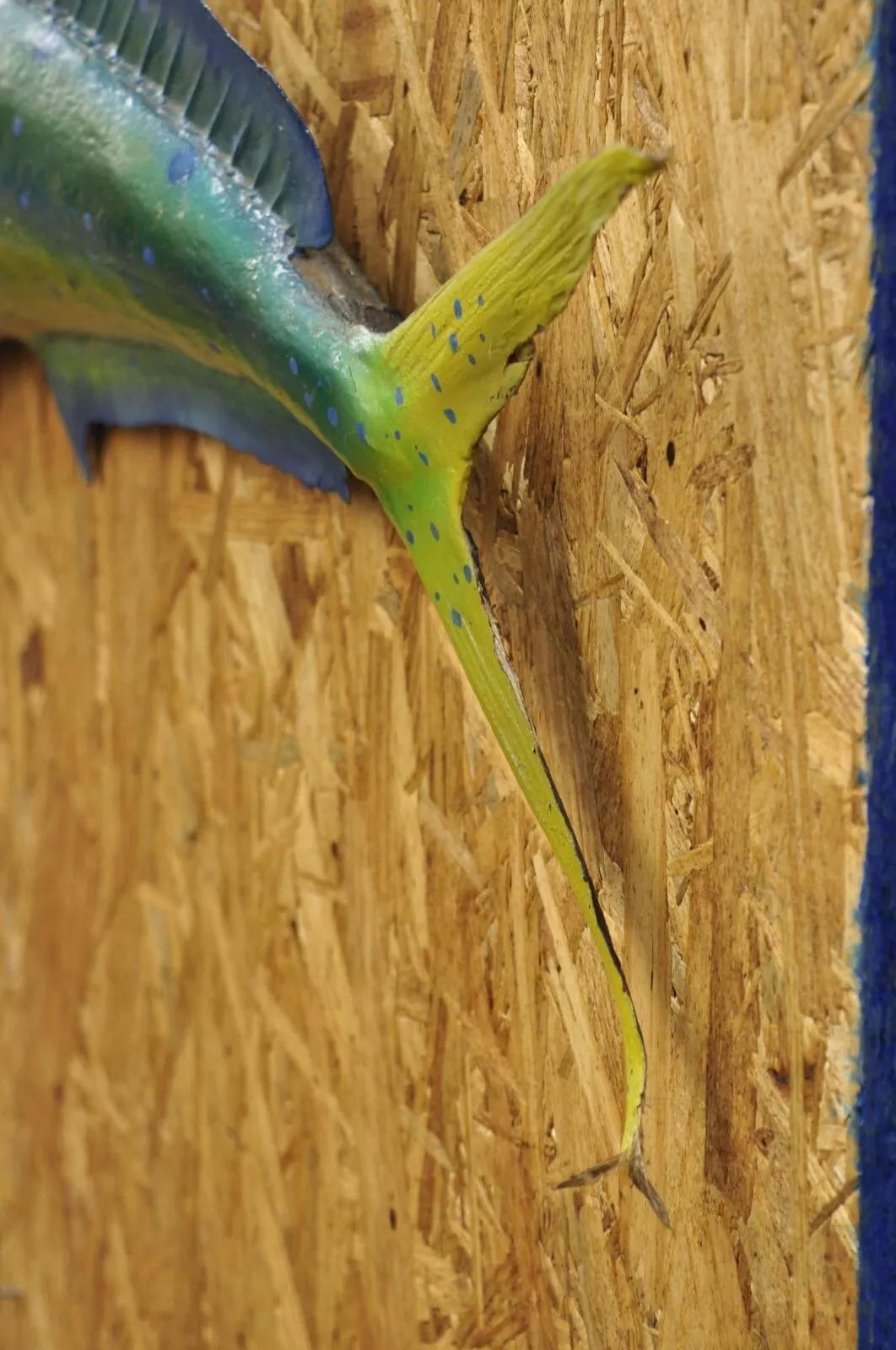 Mahi-mahi Fisch-Replica-Wandschmuck, Taxidermie, Fischen-Wandschmuck im Zustand „Gut“ in Philadelphia, PA