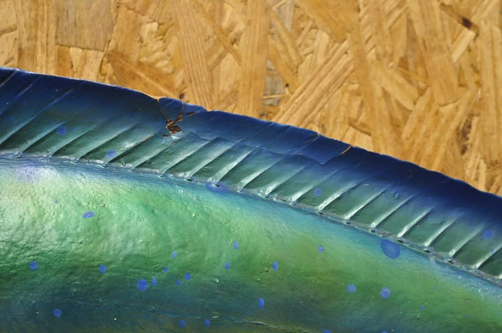 Mahi-mahi Fisch-Replica-Wandschmuck, Taxidermie, Fischen-Wandschmuck 1