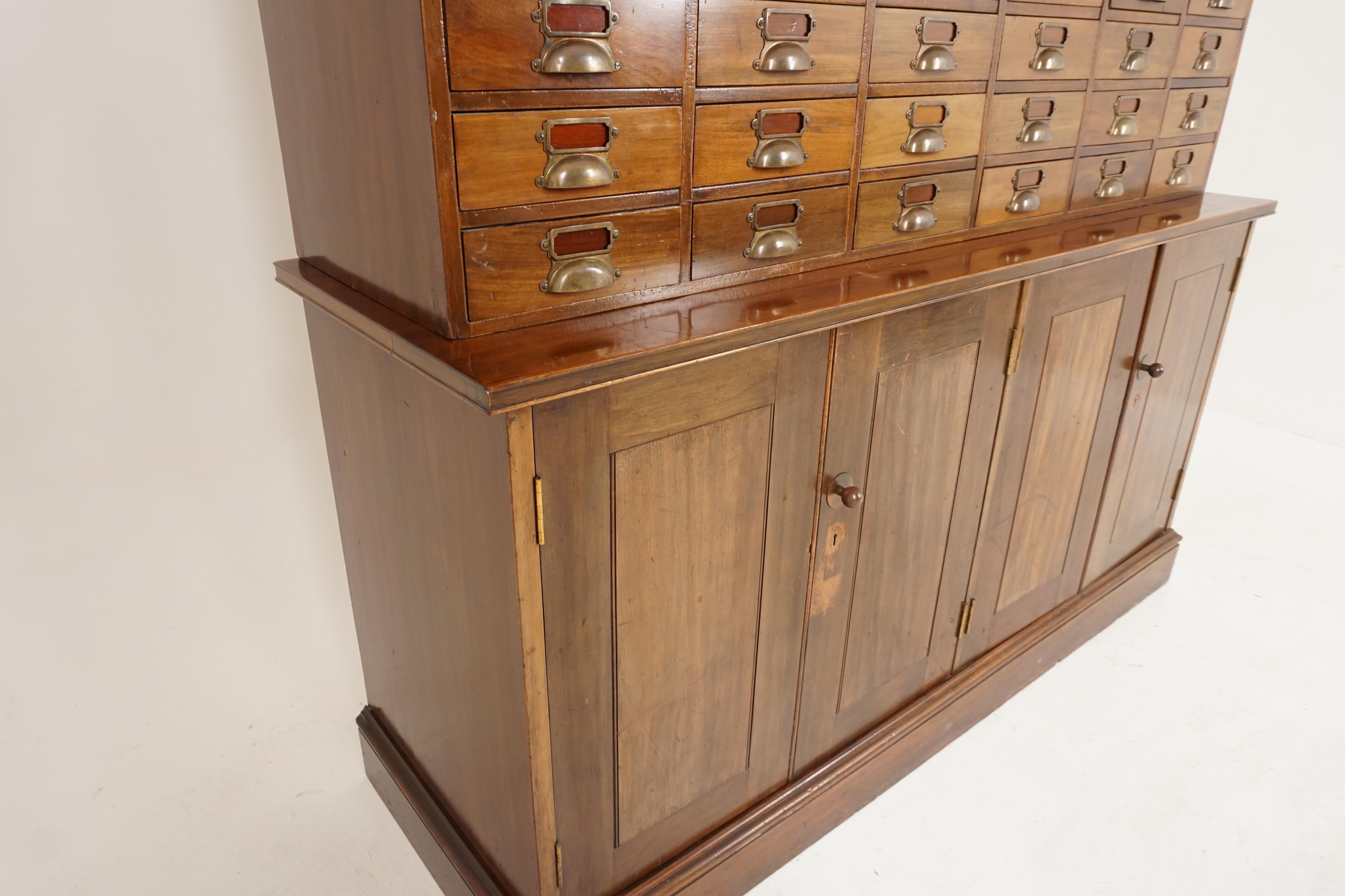 Vintage Walnut 48 Drawer File Cabinet, Cupboard, Scotland 1920, H204 For Sale 3