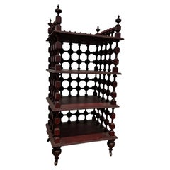 Vintage Mahogany Display Étagère with Casters