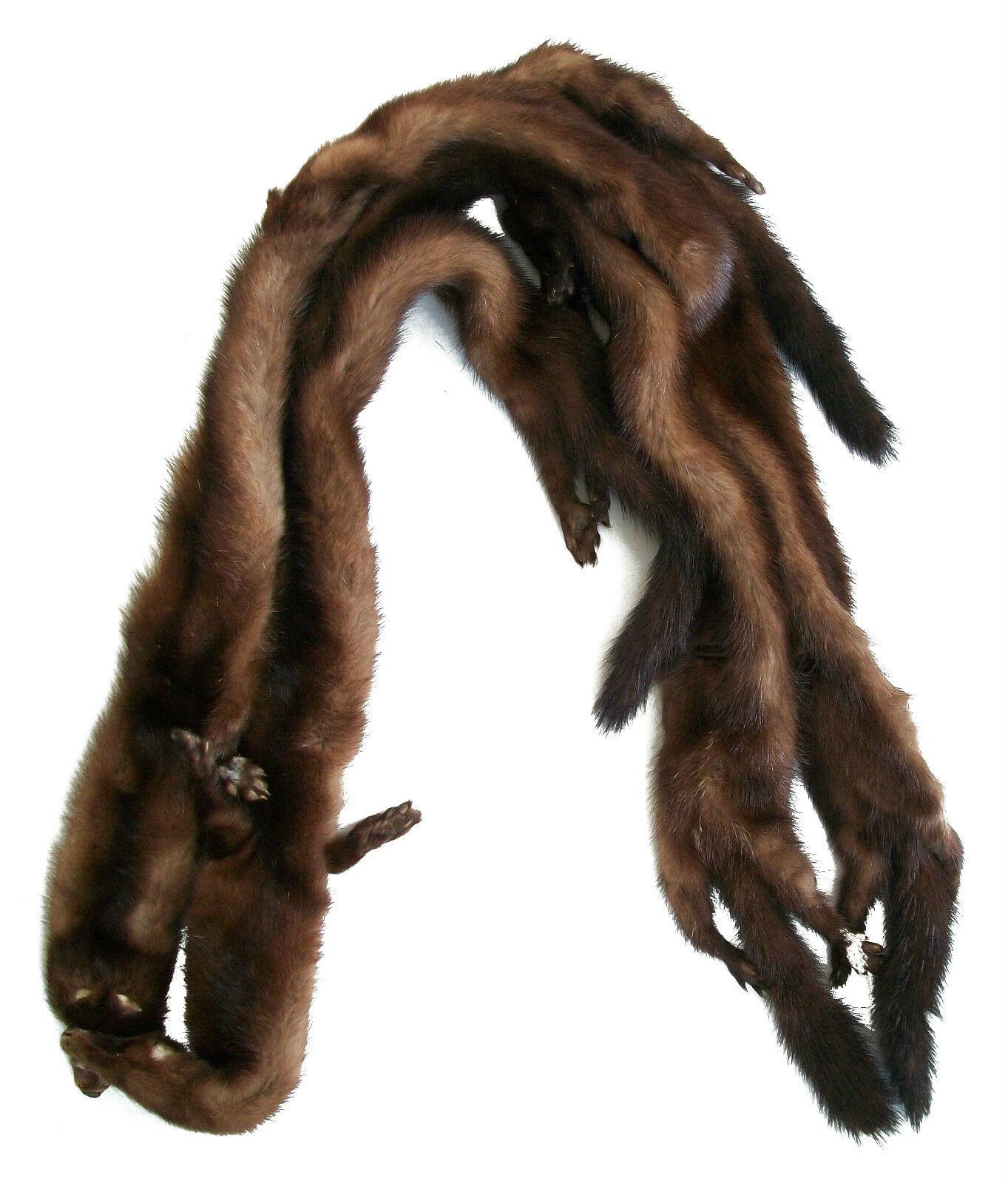Hand-Crafted Vintage Mahogany Mink Scarf - Full Body Pelts - Clips & Buttons - Circa 1940's For Sale