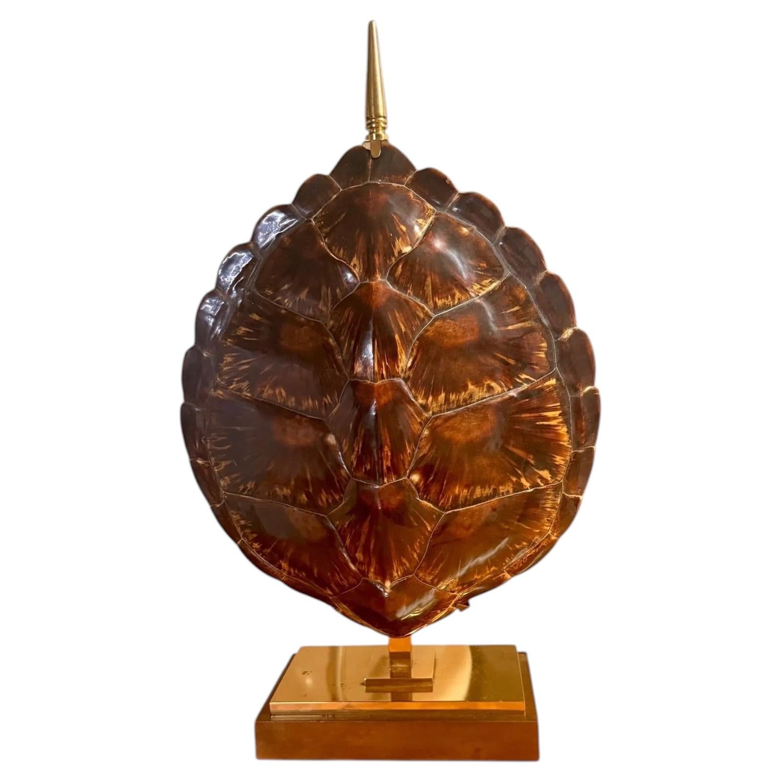 Vintage Maison Jansen Turtle Lamp — Real Tortoiseshell & Brass (Circa 1970)
