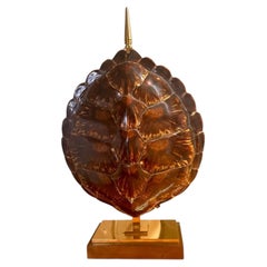 Vintage Maison Jansen Turtle Lamp — Real Tortoiseshell & Brass (Circa 1970)