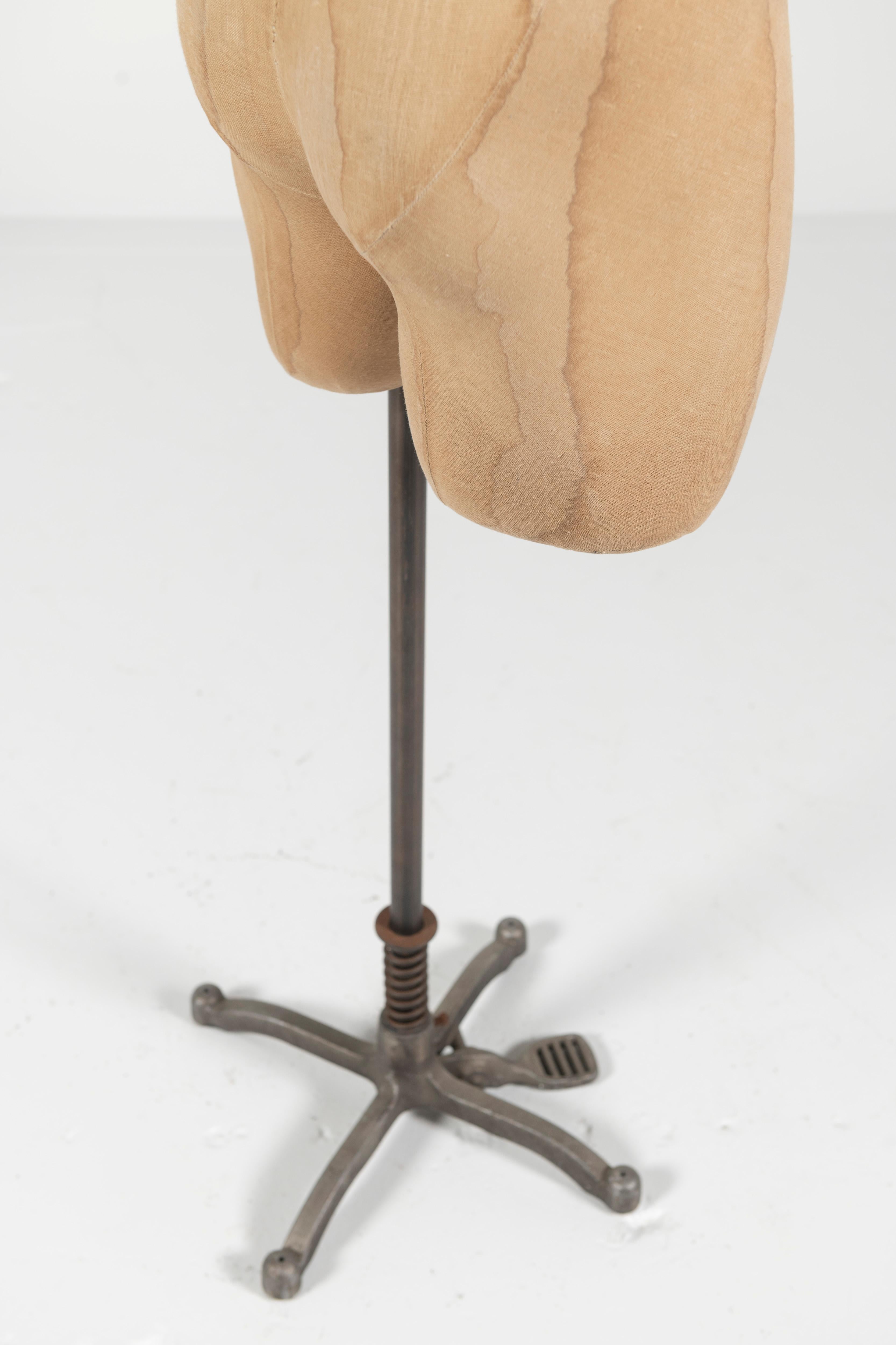 Vintage Male Torso Dress Form/Mannequin on Adjustable Height Stand 3