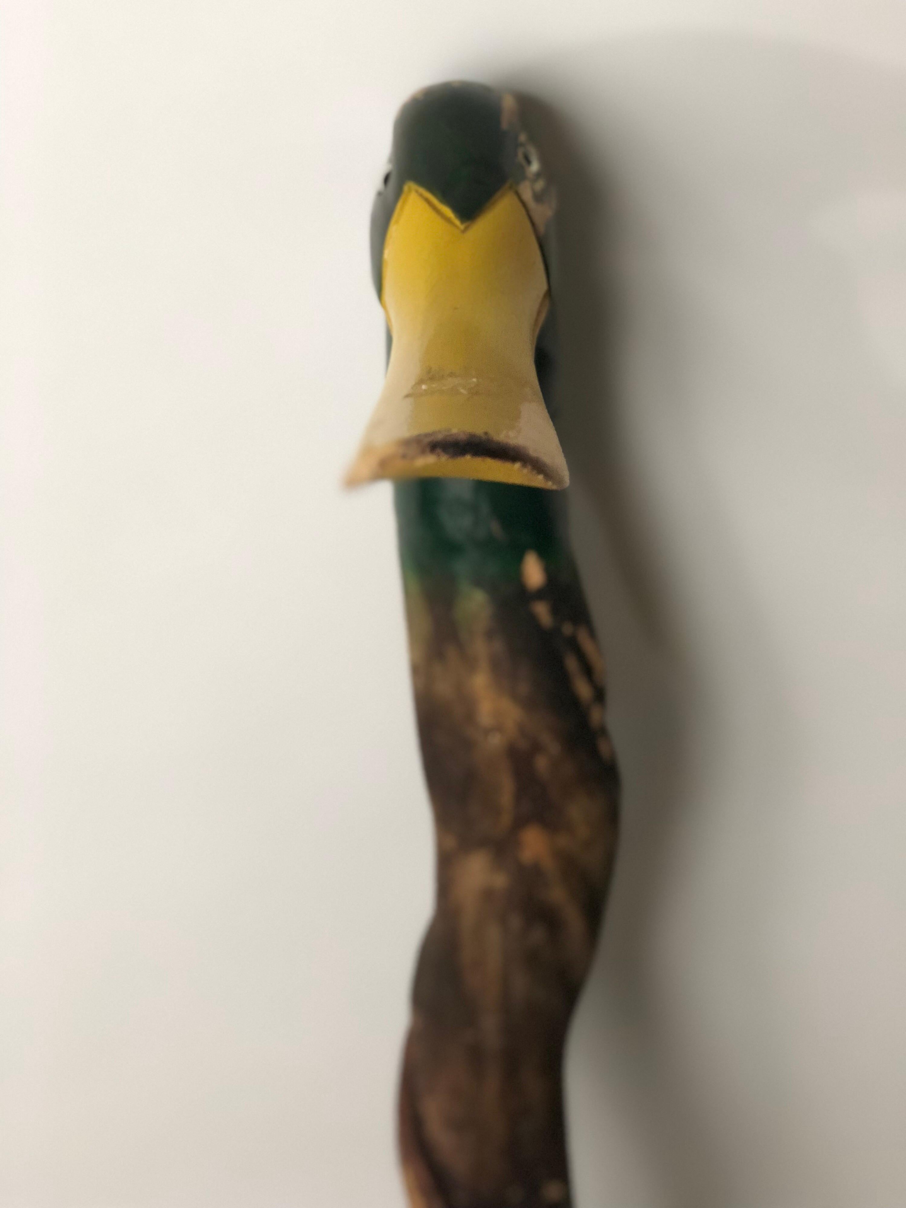 Vintage Mallard Carved and Painted Wooden Walking Cane 7