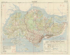 Vintage Map of Singapore Published by D Survey War Office & Air Ministry, 1958