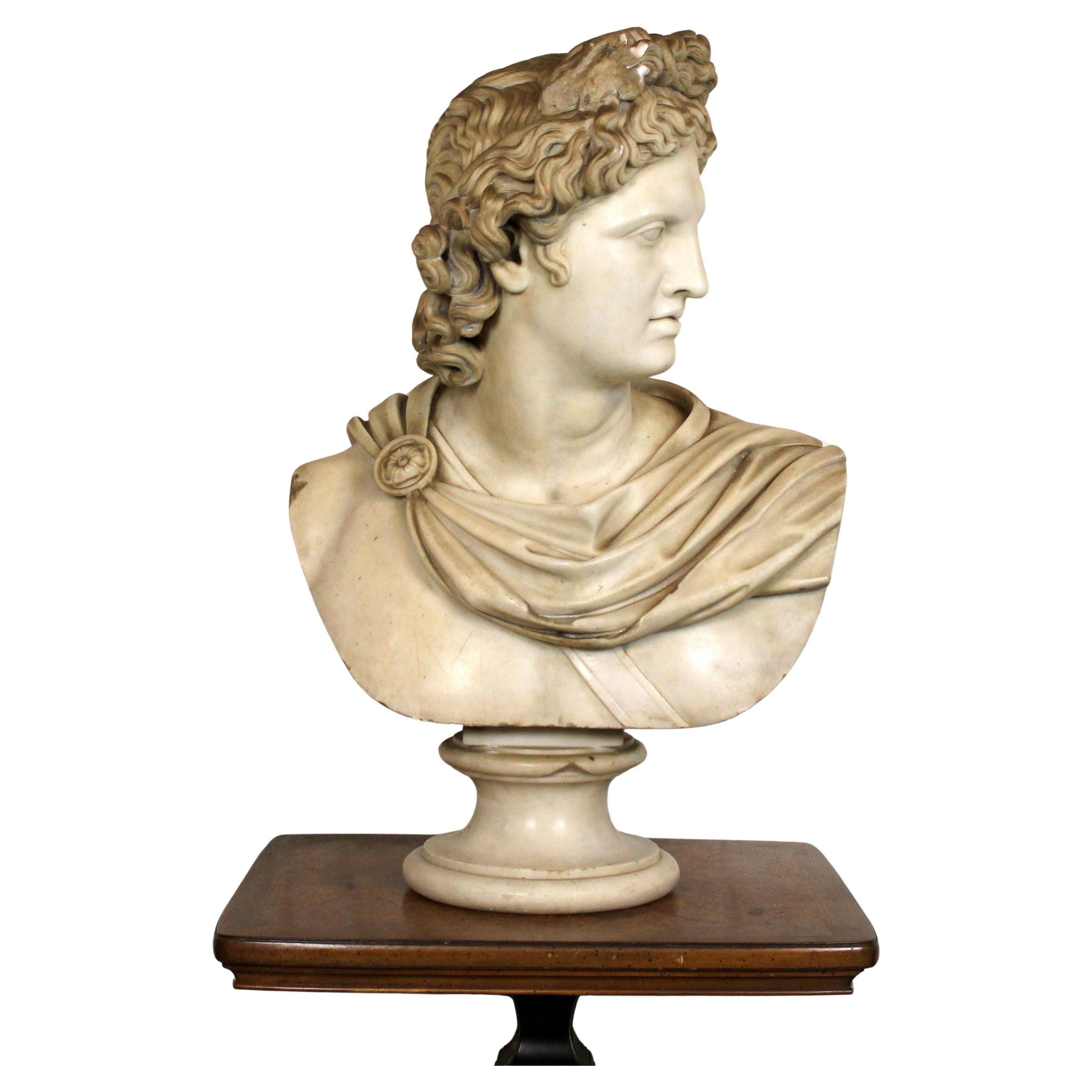 Vintage Marble Bust of Apollo