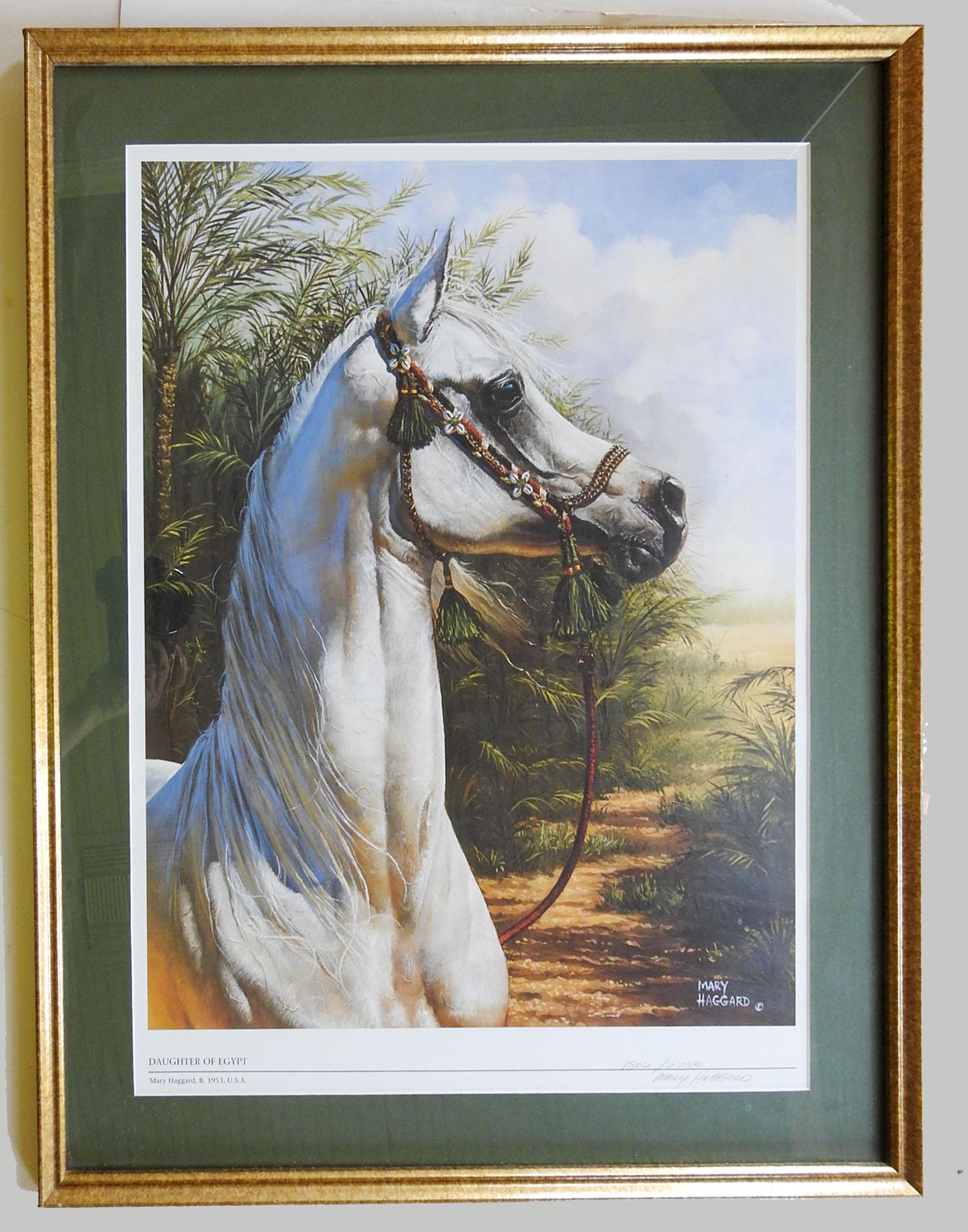 Vintage print of an Egyptian bred Arabian mare by Mary Haggard.  Titled Daughter of Egypt, signed and numbered 1802/2750 in pencil lower right margin.  Displayed under glass and mat in giltwood frame, scuffing to frame.