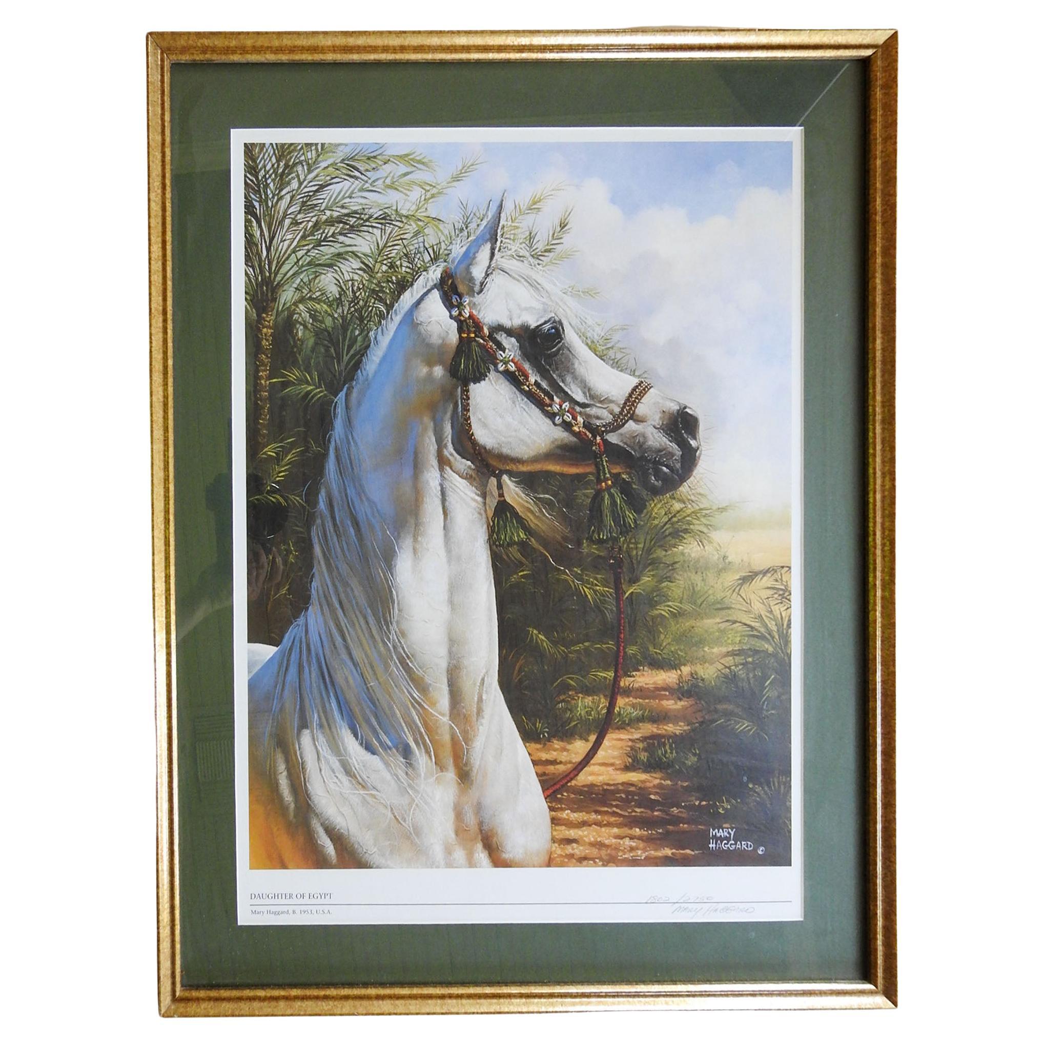 Vintage Mary Haggard Arabian Horse Daughter of Egypt Print For Sale