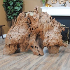 Vintage Massive Live Edge Tree Root Sculpture