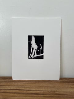 Vintage Matted Photograph Abstract Print by Seattle Photographer Bruce Saradow.