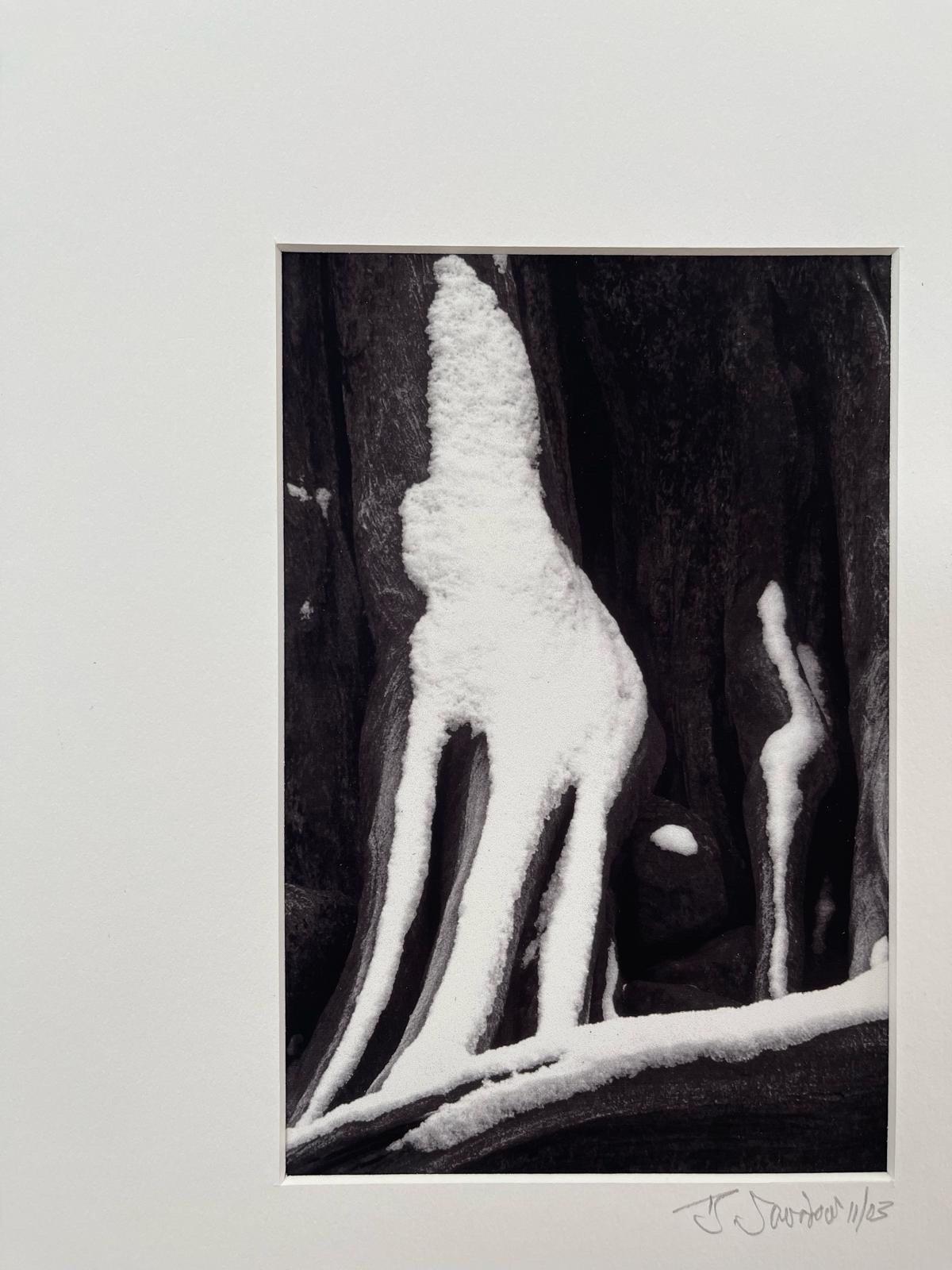 Abstrakter Vintage-Abstrakte Vintage-Fotografiedruck mit mattem Mattdruck des Seattle-Fotografen Bruce Saradow. (Moderne der Mitte des Jahrhunderts) im Angebot
