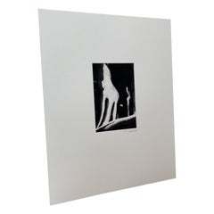 Vintage Matted Photograph Abstract Print by Seattle Photographer Bruce Saradow.