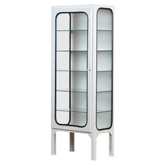 Vintage Medical Cabinet with Five Glass Shelves, 1970s