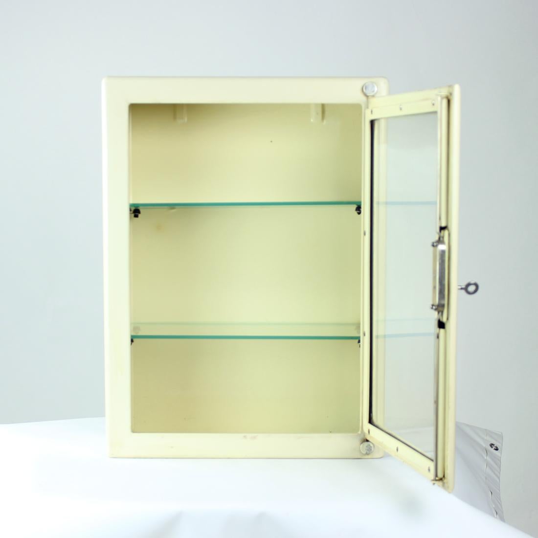 Vintage Medical Cabinet with Glass Door, Czechoslovakia, 1950s 1