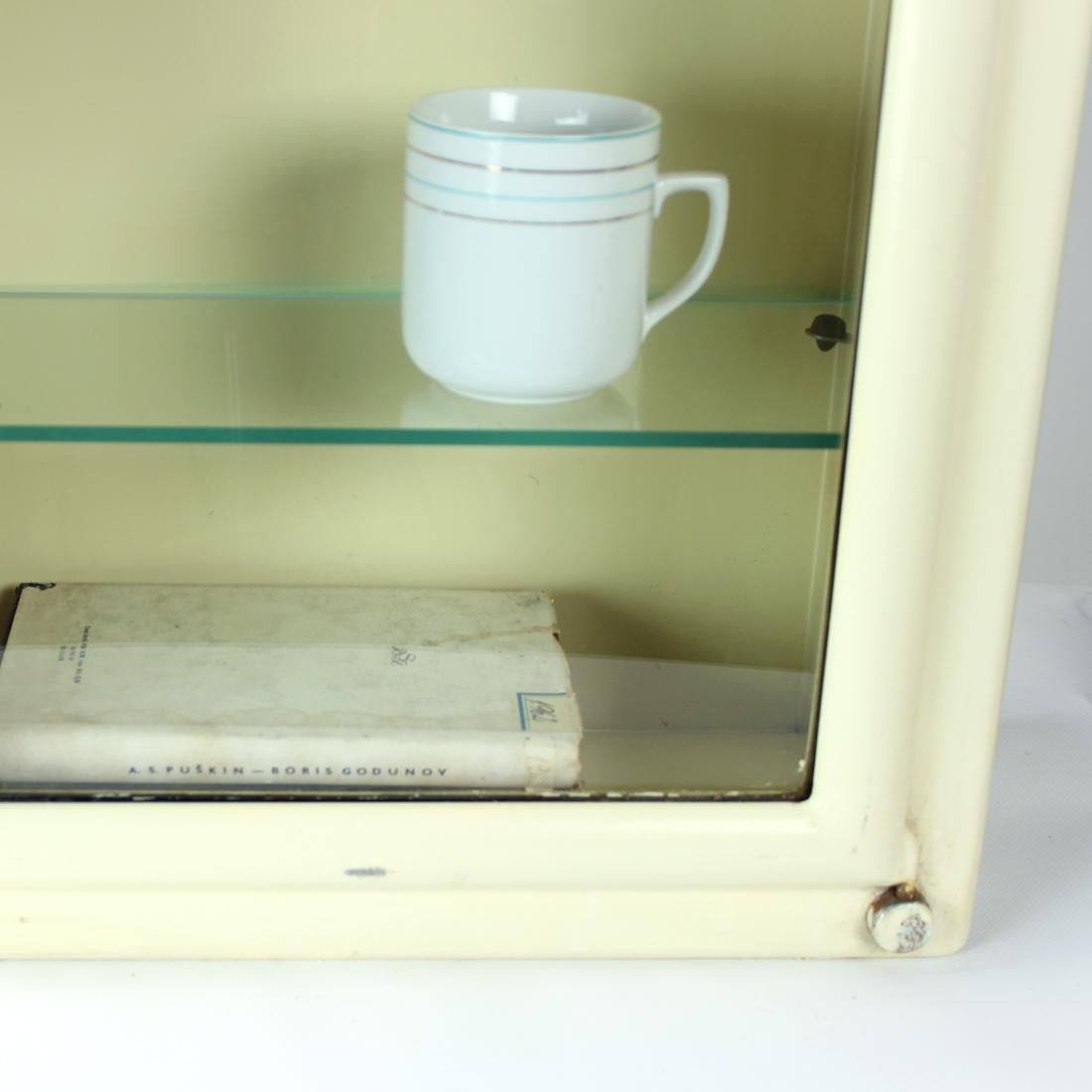 Vintage Medical Cabinet with Glass Door, Czechoslovakia, 1950s 5