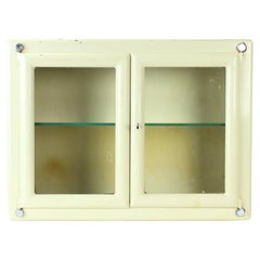 Vintage Medical Cabinet with Glass Door, Czechoslovakia, 1950s