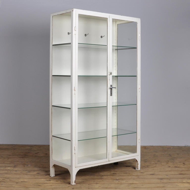 Vintage Medical Display 1950s at 1stDibs