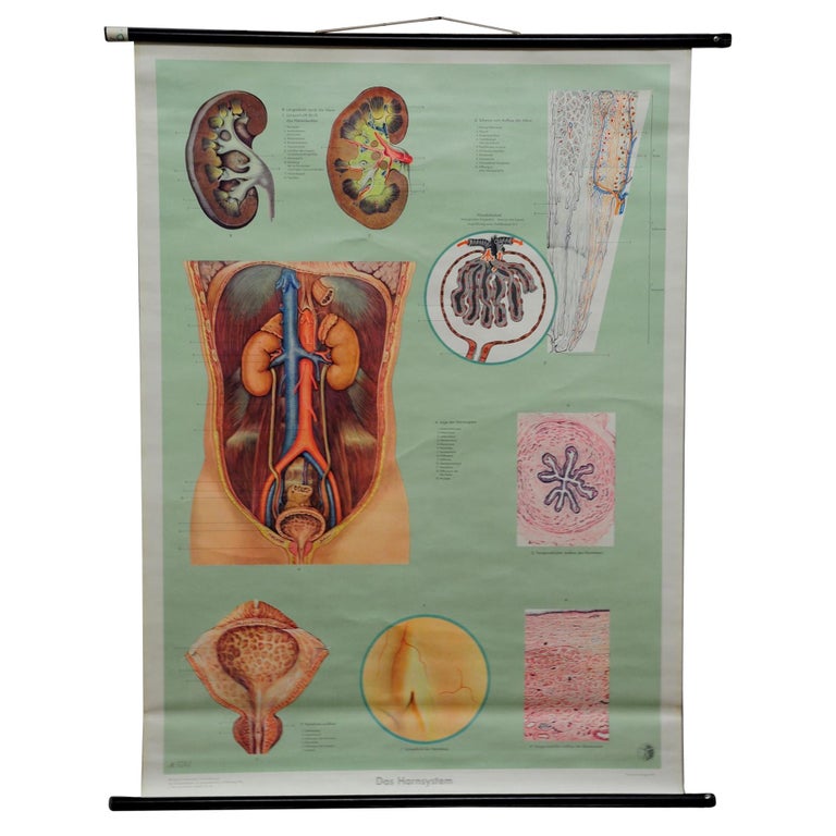 Artmapp 17 Fruhjahr 2018 By Artmapp Gmbh Issuu