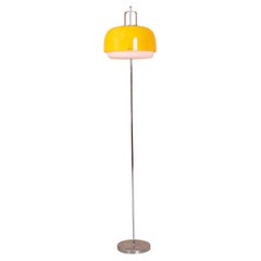 Vintage-Stehlampe Medusa von Luigi Massoni fr Guzzini, Italien, 1970er Jahre