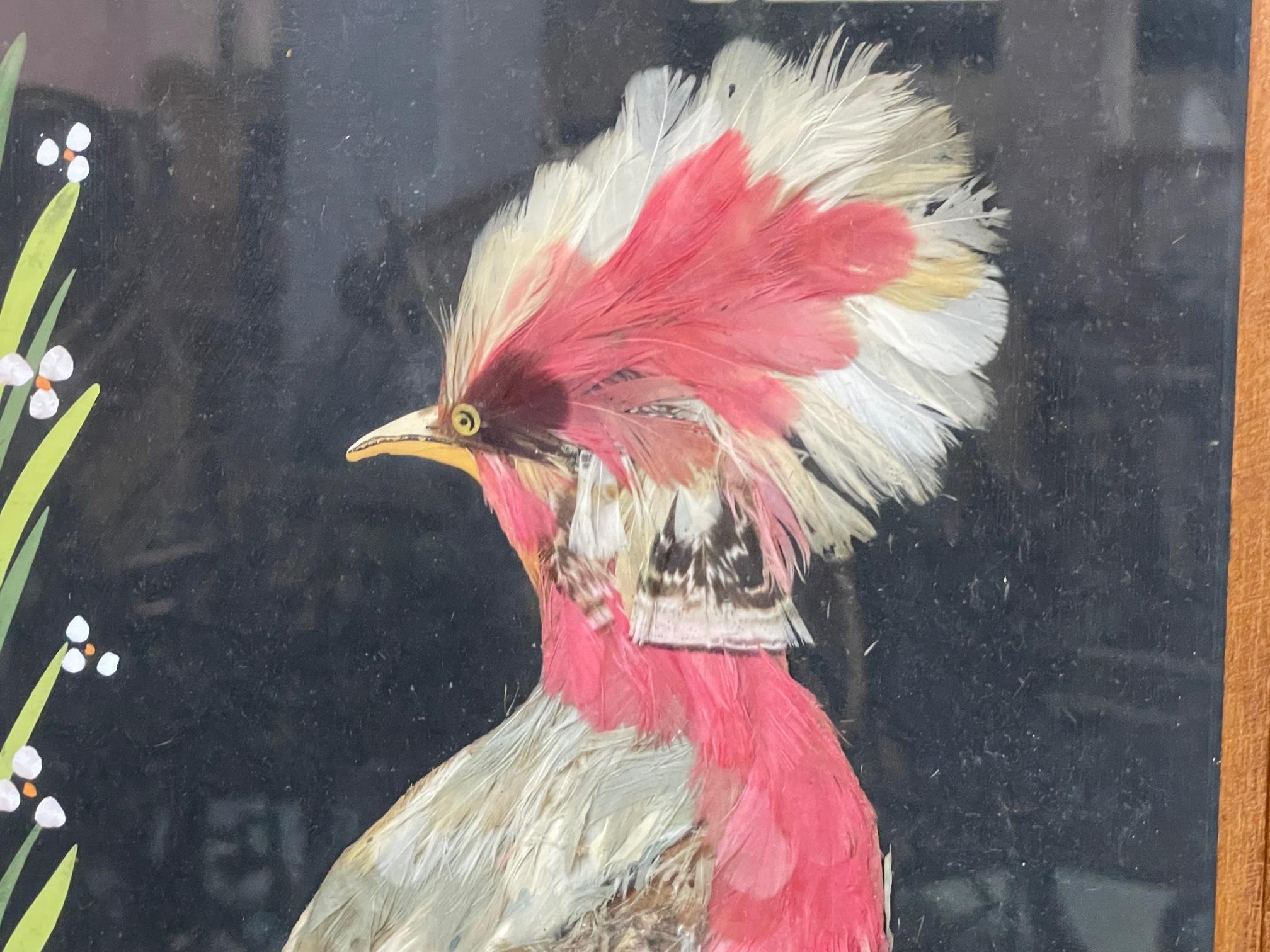 vintage bird feather art