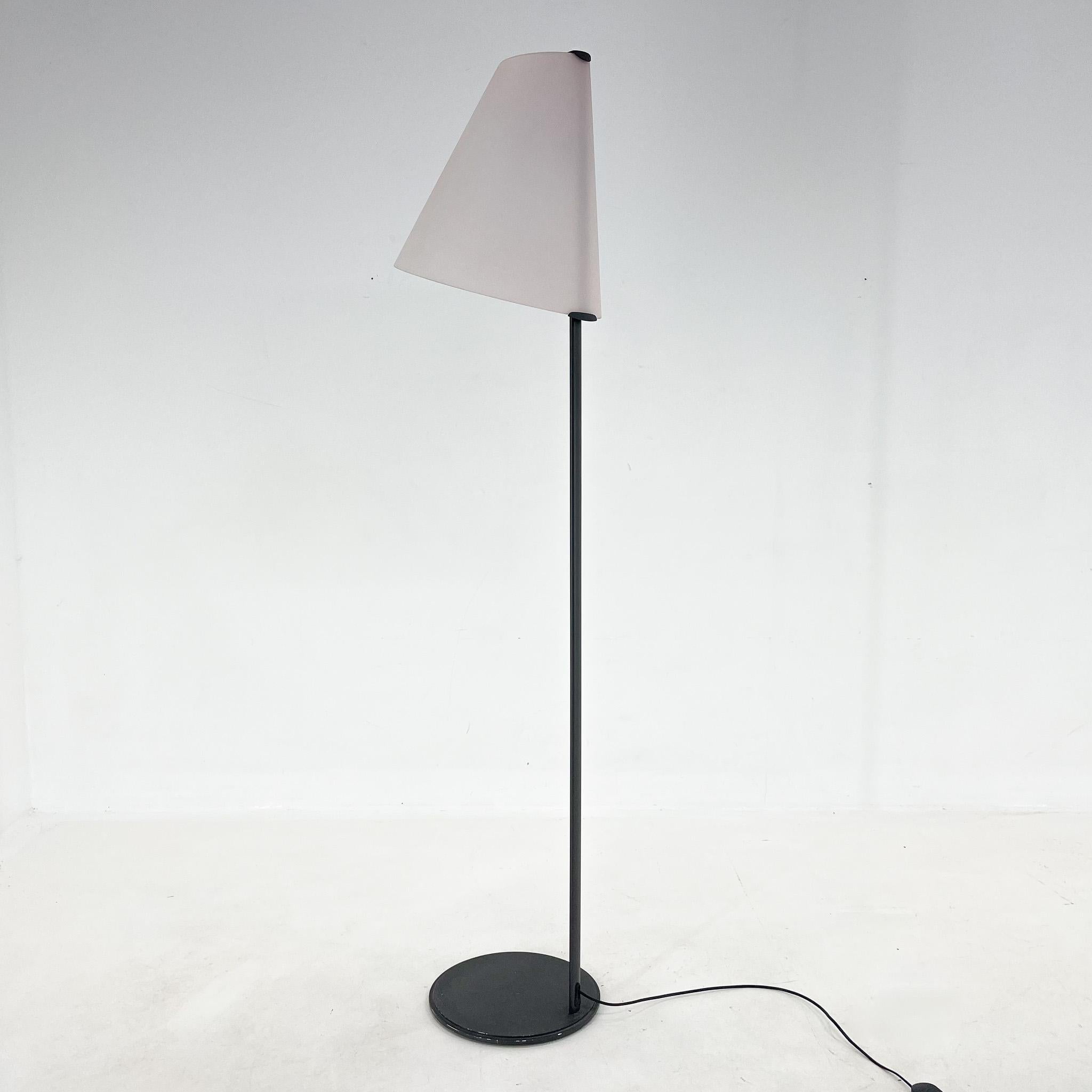 Mid-Century Modern Vintage Micene Floor Lamp by Renato Toso & Giovanna Noti Massari for Leucos