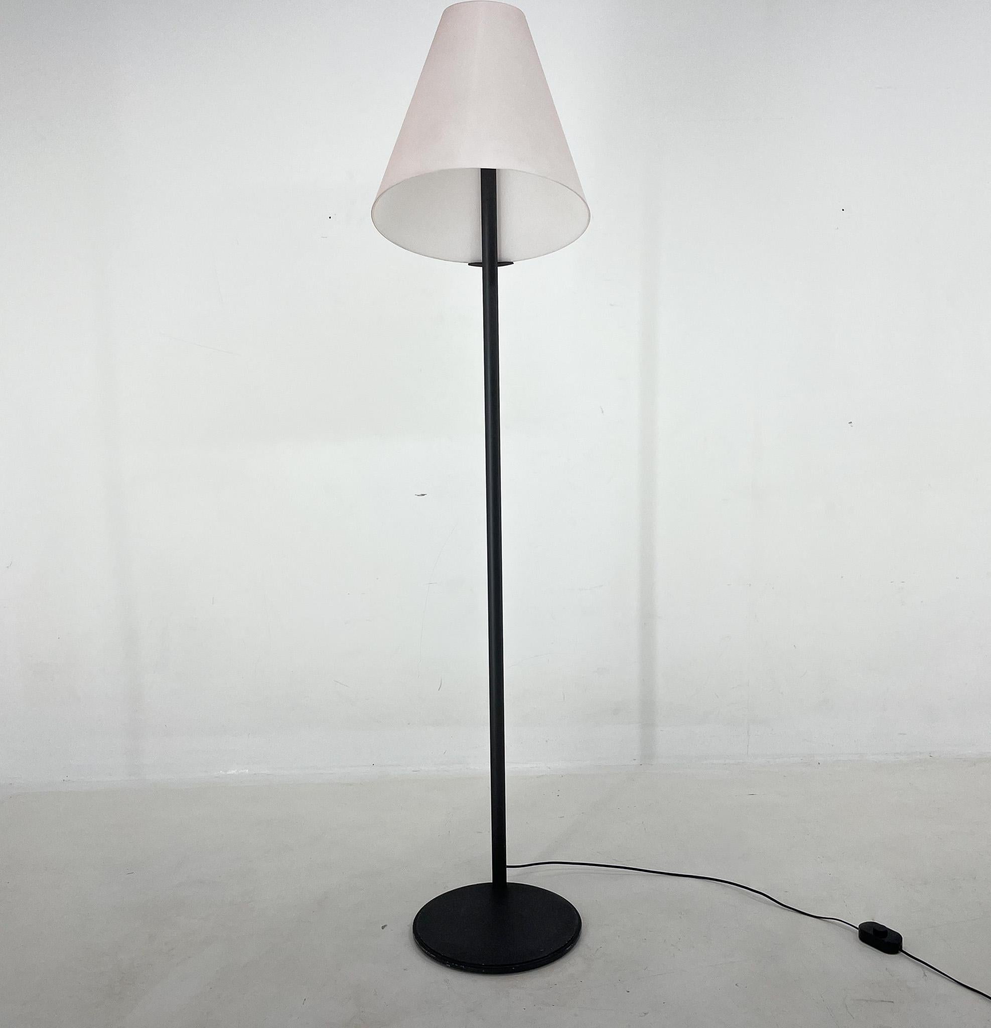 Italian Vintage Micene Floor Lamp by Renato Toso & Giovanna Noti Massari for Leucos