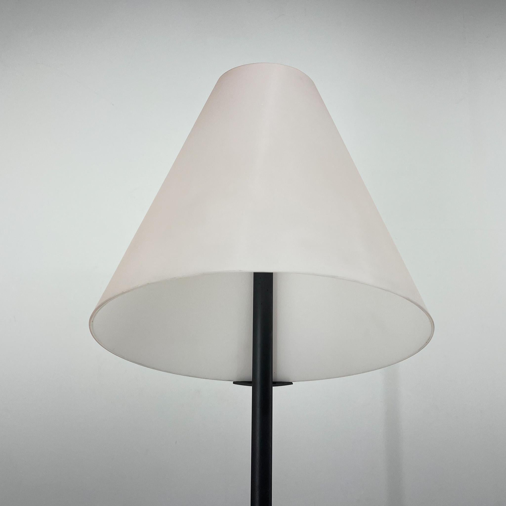 Vintage Micene Floor Lamp by Renato Toso & Giovanna Noti Massari for Leucos In Good Condition In Praha, CZ