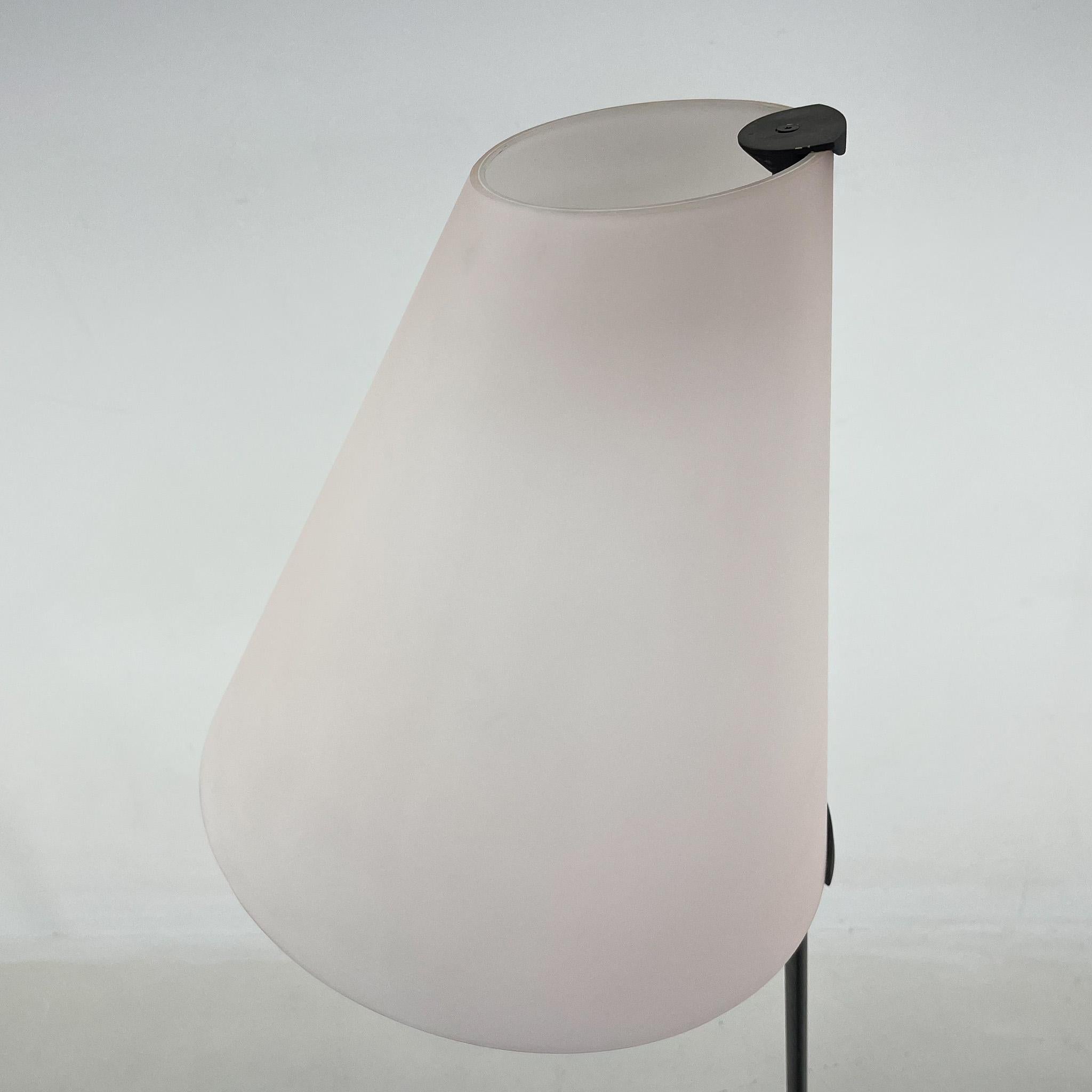 Late 20th Century Vintage Micene Floor Lamp by Renato Toso & Giovanna Noti Massari for Leucos