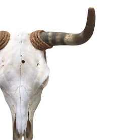 Vintage Mid 20th Century Cow Skull/Horns Wrapped with Rope
