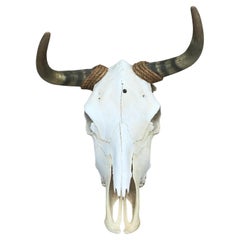 Vintage Mid 20th Century Cow Skull/Horns Wrapped with Rope