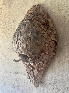 Vintage Mid-Century American Folk Art Bird Nest Tree Bark Wall Sculpture