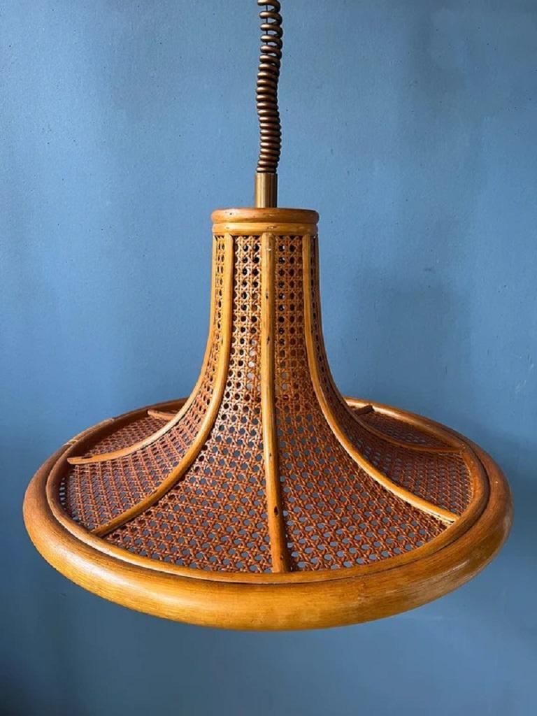 Mid-Century Modern Lampe à suspension en bambou vintage du milieu du siècle Boho Rotan Fixture en vente