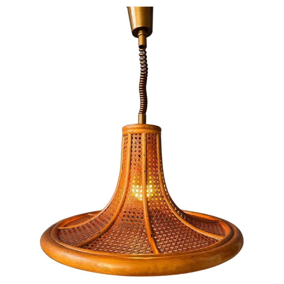 Lampe à suspension en bambou vintage du milieu du siècle Boho Rotan Fixture