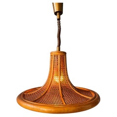 Lampe à suspension en bambou vintage du milieu du siècle Boho Rotan Fixture