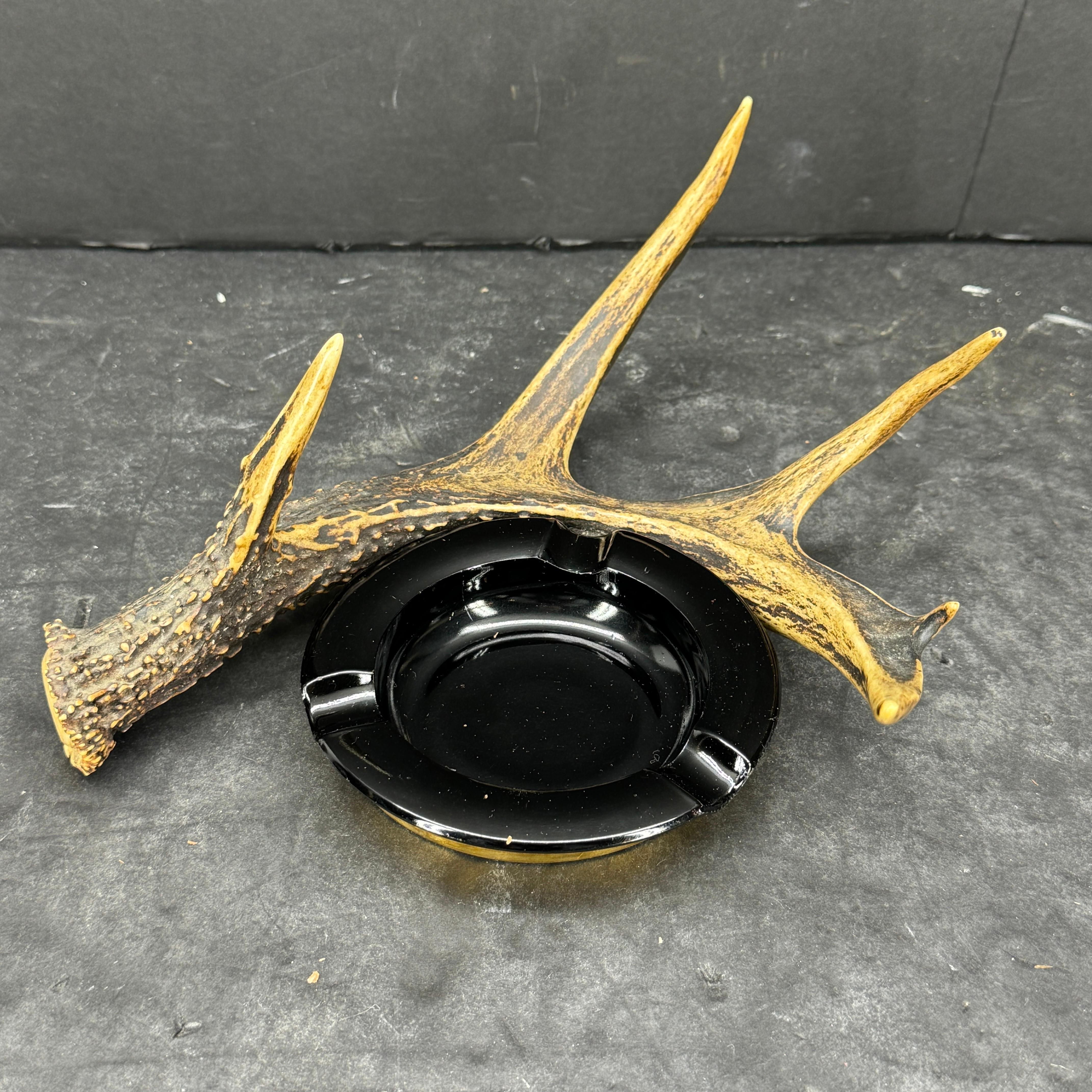 Impressive Antler ashtray sculpture with removable glass ashtray. We see this piece being placed on a coffee or side table. Could also function as a trinket tray holding coins or jewelry on a dresser. 