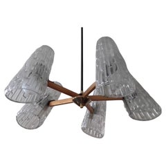 Vintage Mid-Century Chandelier J. T. Kalmar