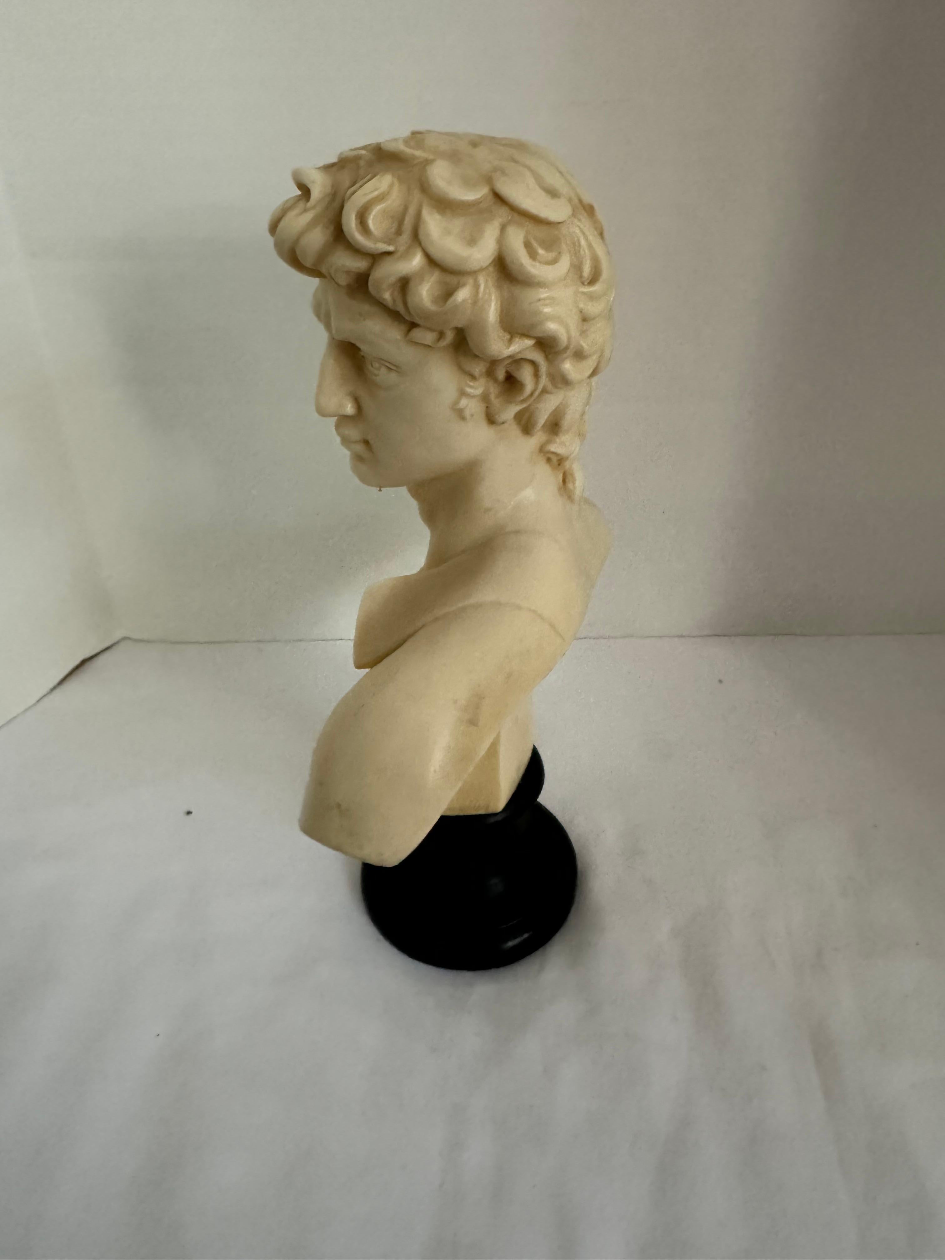 Vintage David Bust Replica of Famous Statue David - Premium Sculpted Resin of Marble with White Marble Finish Hand Painted and patinated, made in Italy.
Condition:   It is in very good vintage condition with no crack or repair.                      