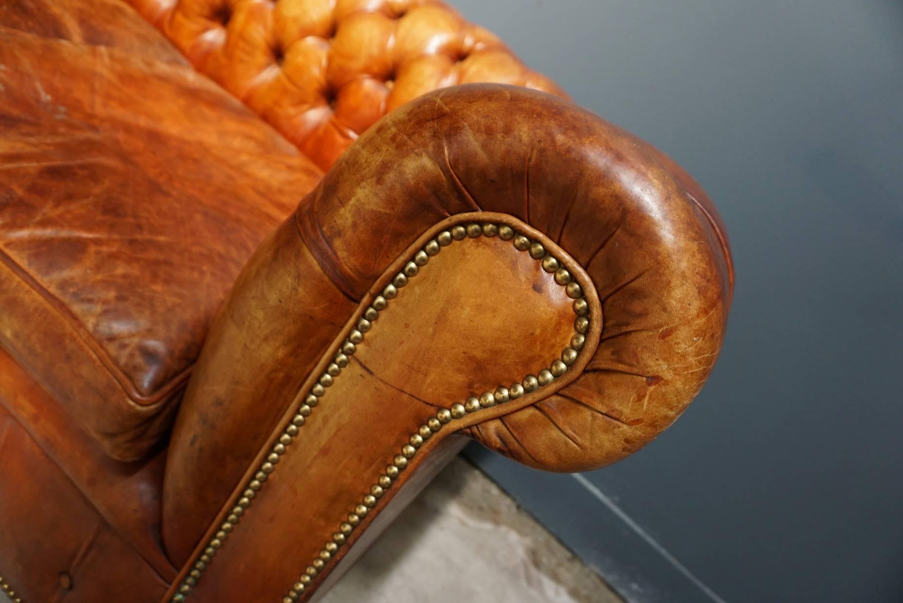 cognac chesterfield sofa