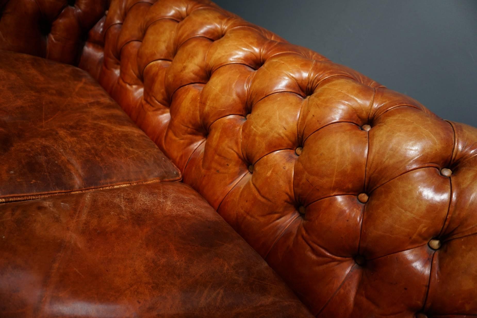 chesterfield sofa cognac