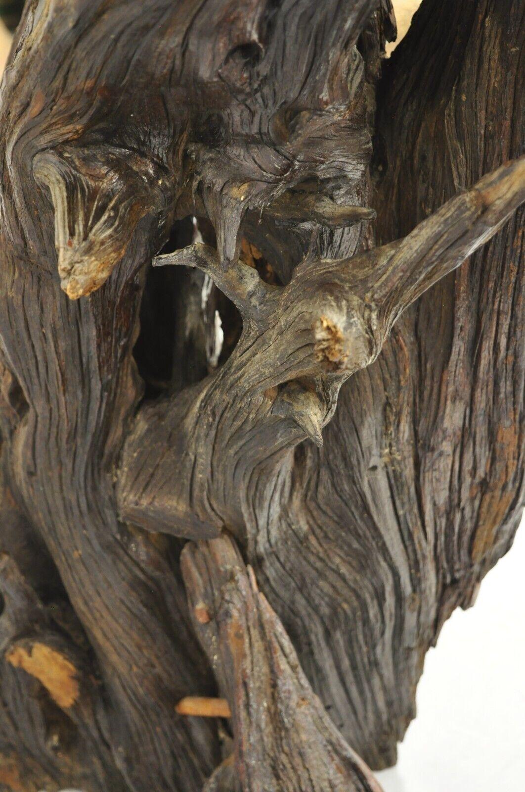 Vintage Mid Century Driftwood Burl Wood Slab 36