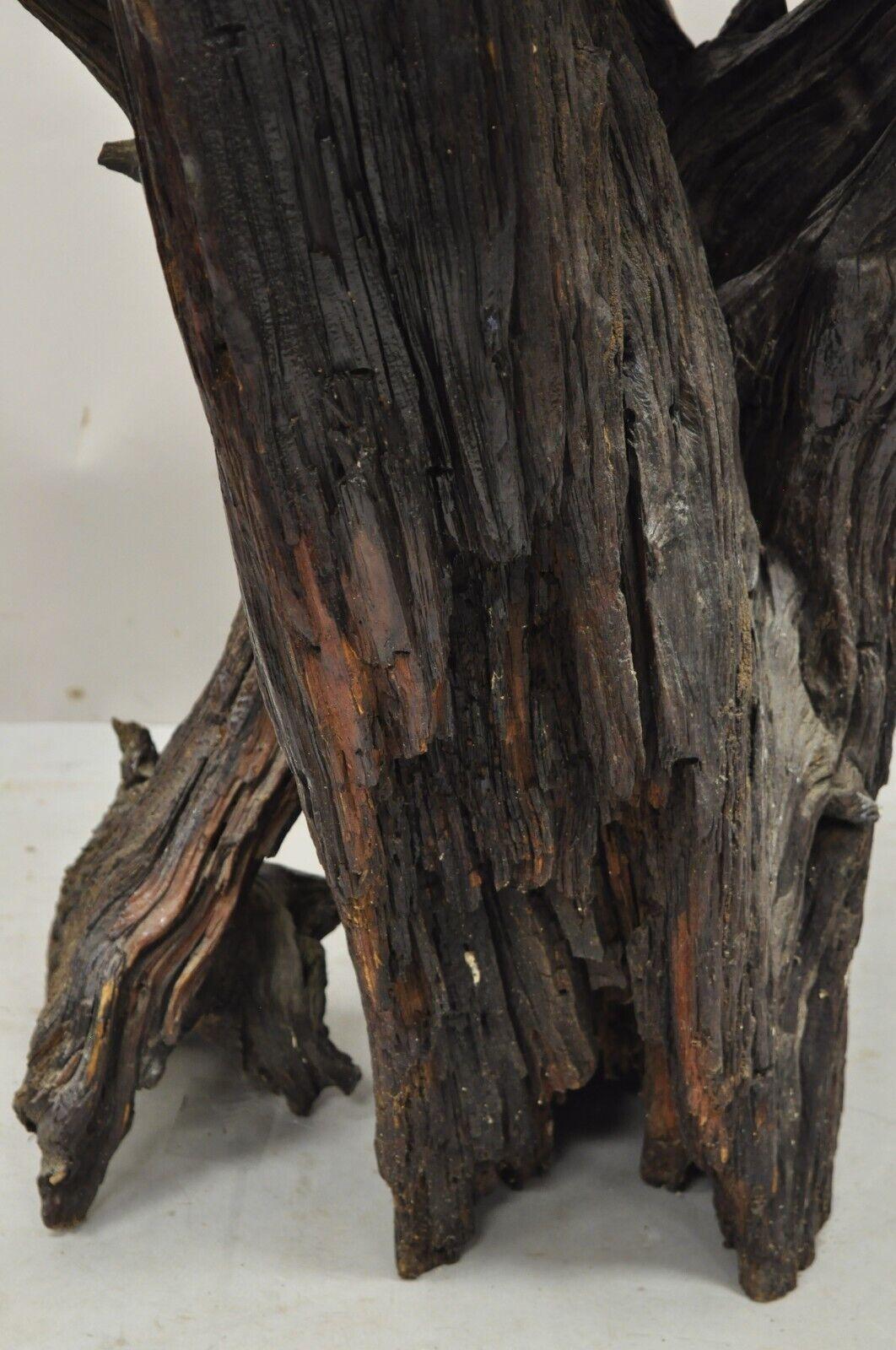 20th Century Vintage Mid Century Driftwood Burl Wood Slab 36