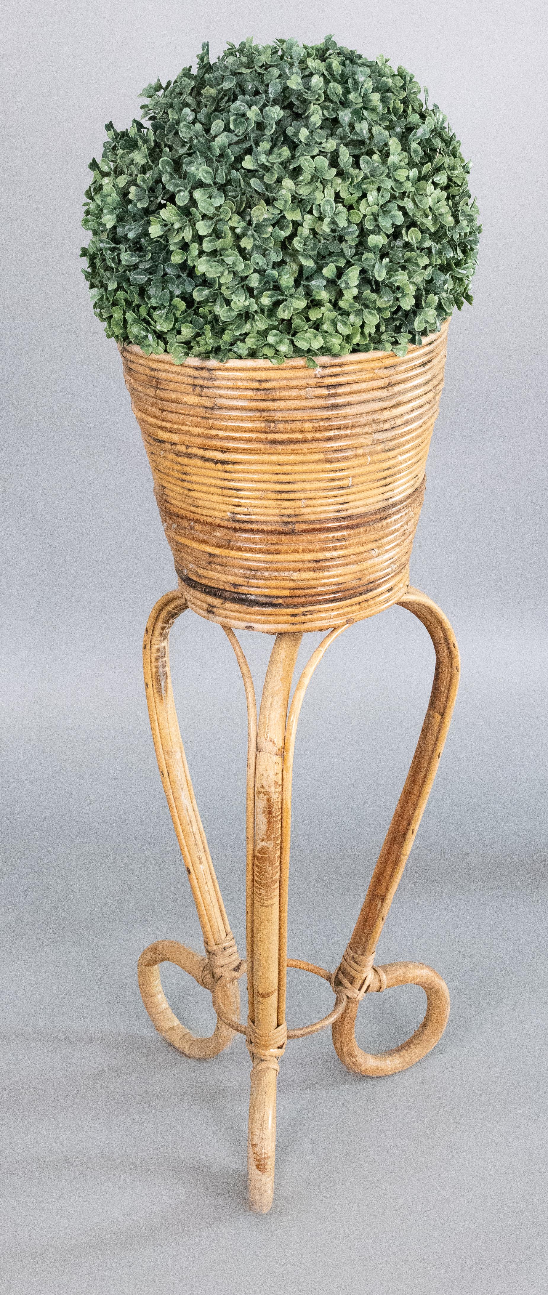 French Vintage Mid-Century Italian Pencil Reed Bamboo Plant Stand