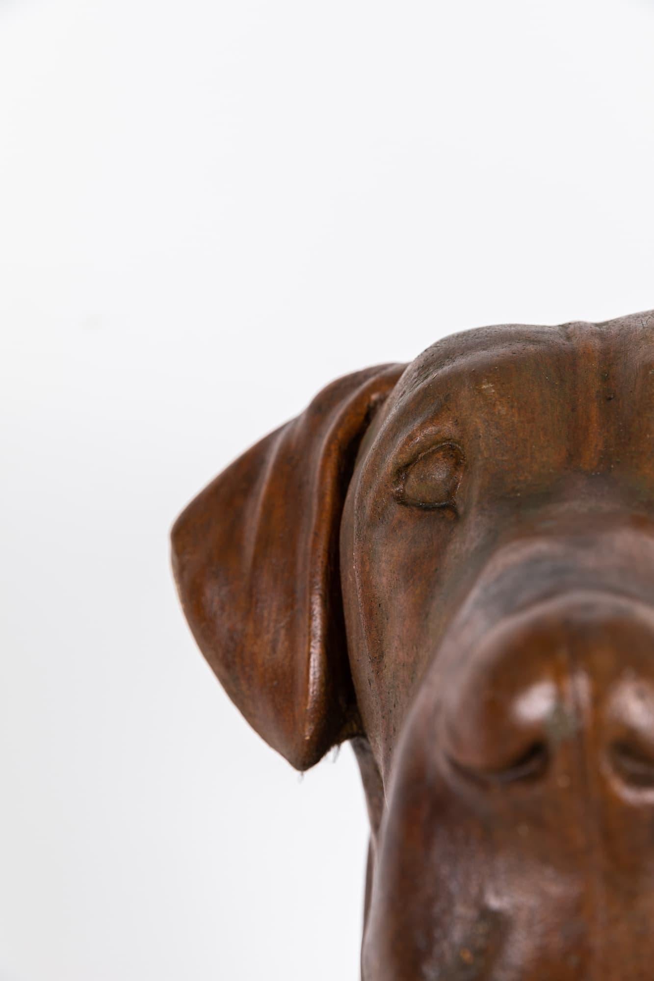 

An incredible stone bust of a great dane. c.1960

A wonderful item full of character and charm. Made by Lucas Stone, a fantastic casting of a great dane.
