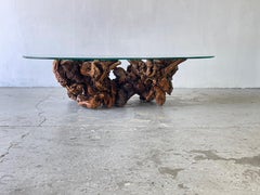 Vintage Mid-Century Modern Amorphous/Biomorphic Glass Driftwood Coffee Table