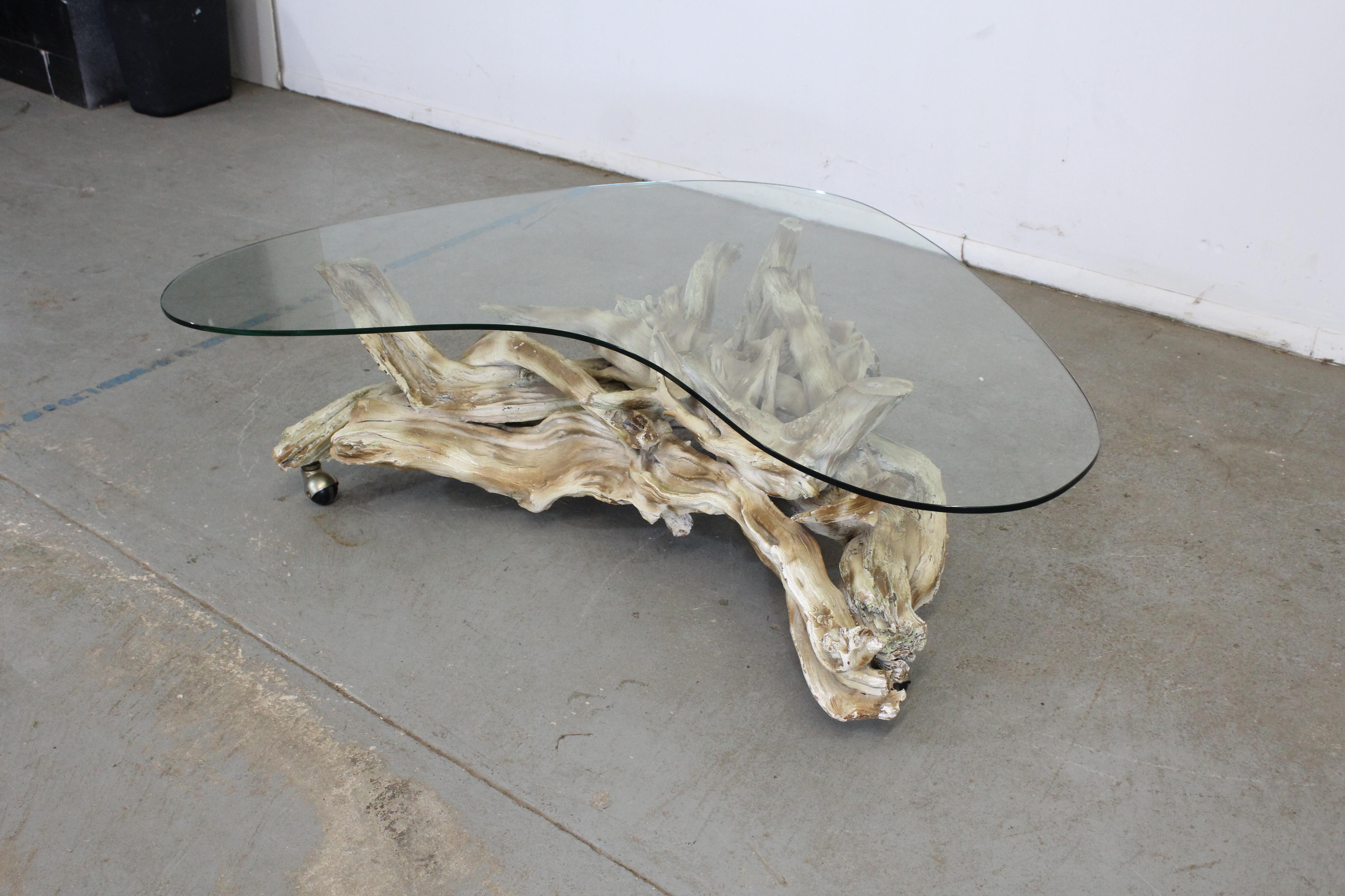 American Vintage Mid-Century Modern Amorphous/Biomorphic Glass Driftwood Coffee Table For Sale