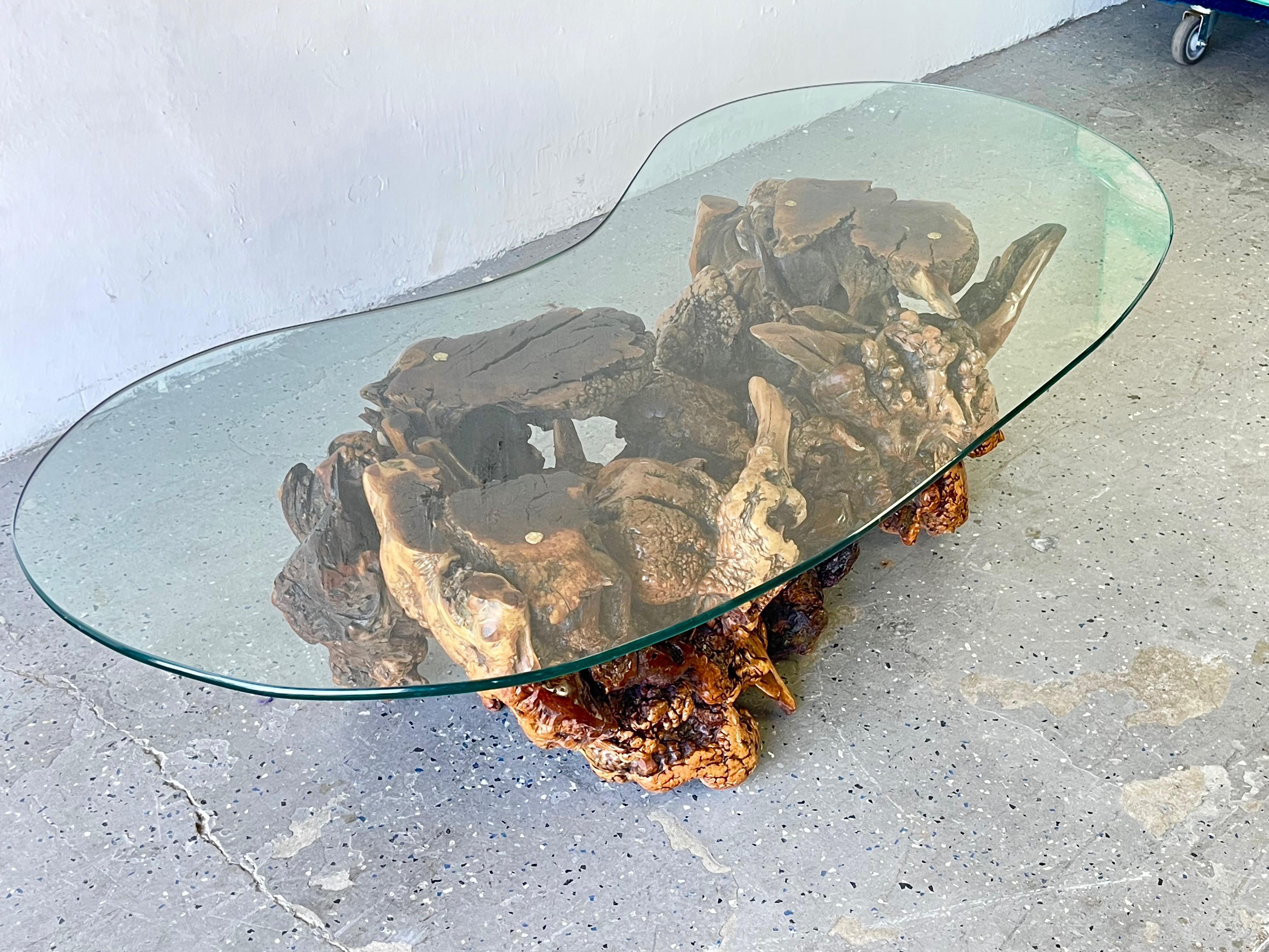 American Vintage Mid-Century Modern Amorphous/Biomorphic Glass Driftwood Coffee Table For Sale