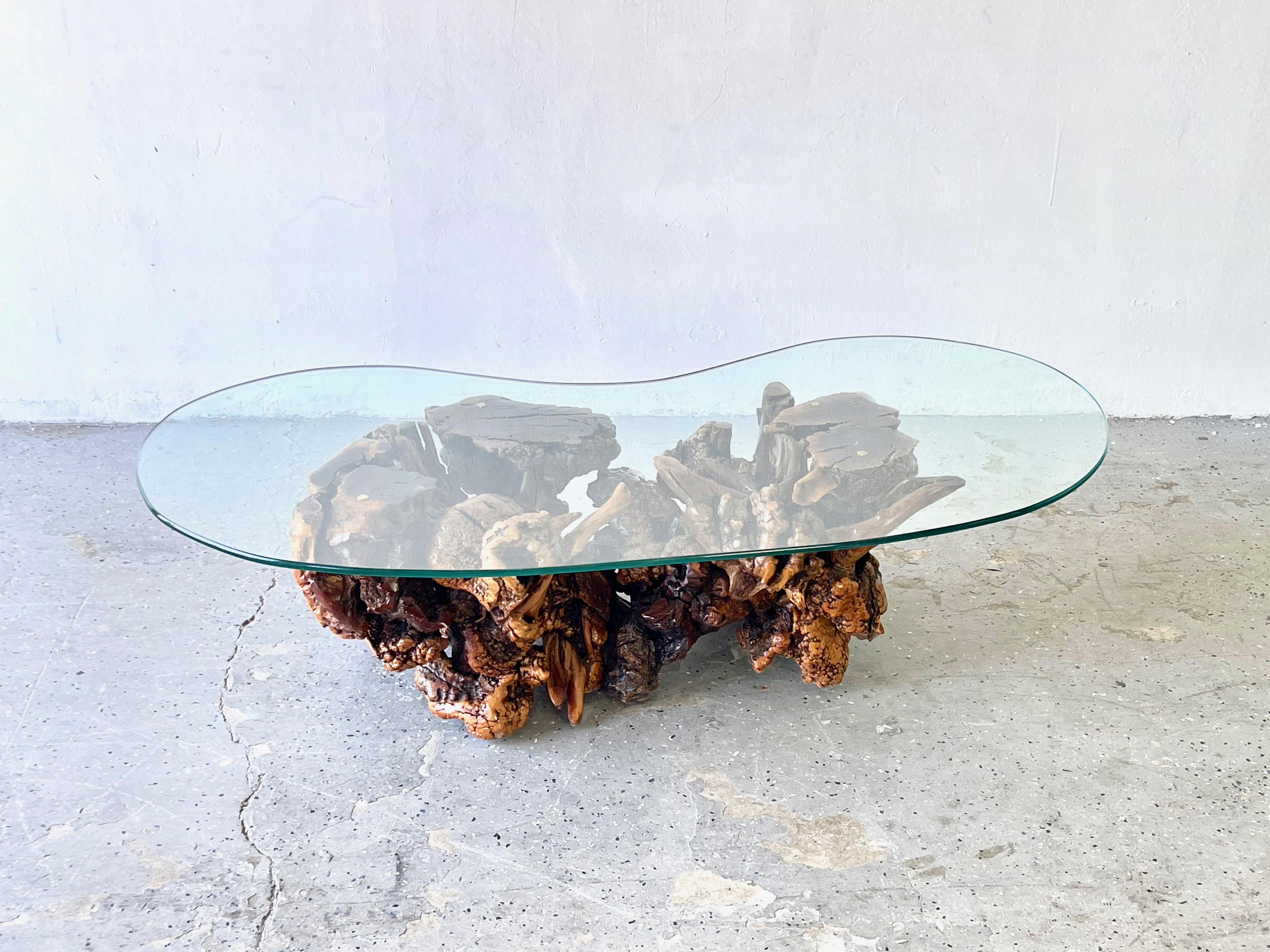 Vintage Mid-Century Modern Amorphous/Biomorphic Glass Driftwood Coffee Table 1