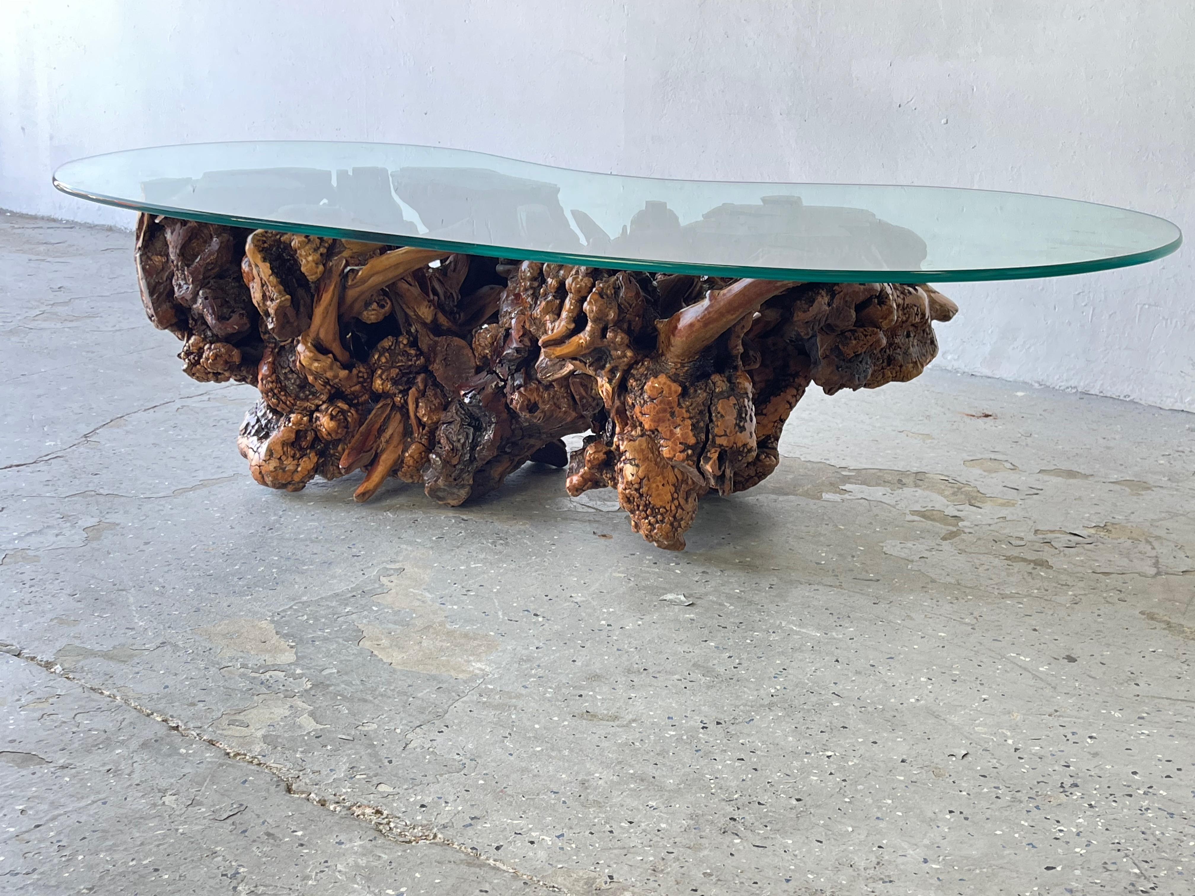 Vintage Mid-Century Modern Amorphous/Biomorphic Glass Driftwood Coffee Table For Sale 3