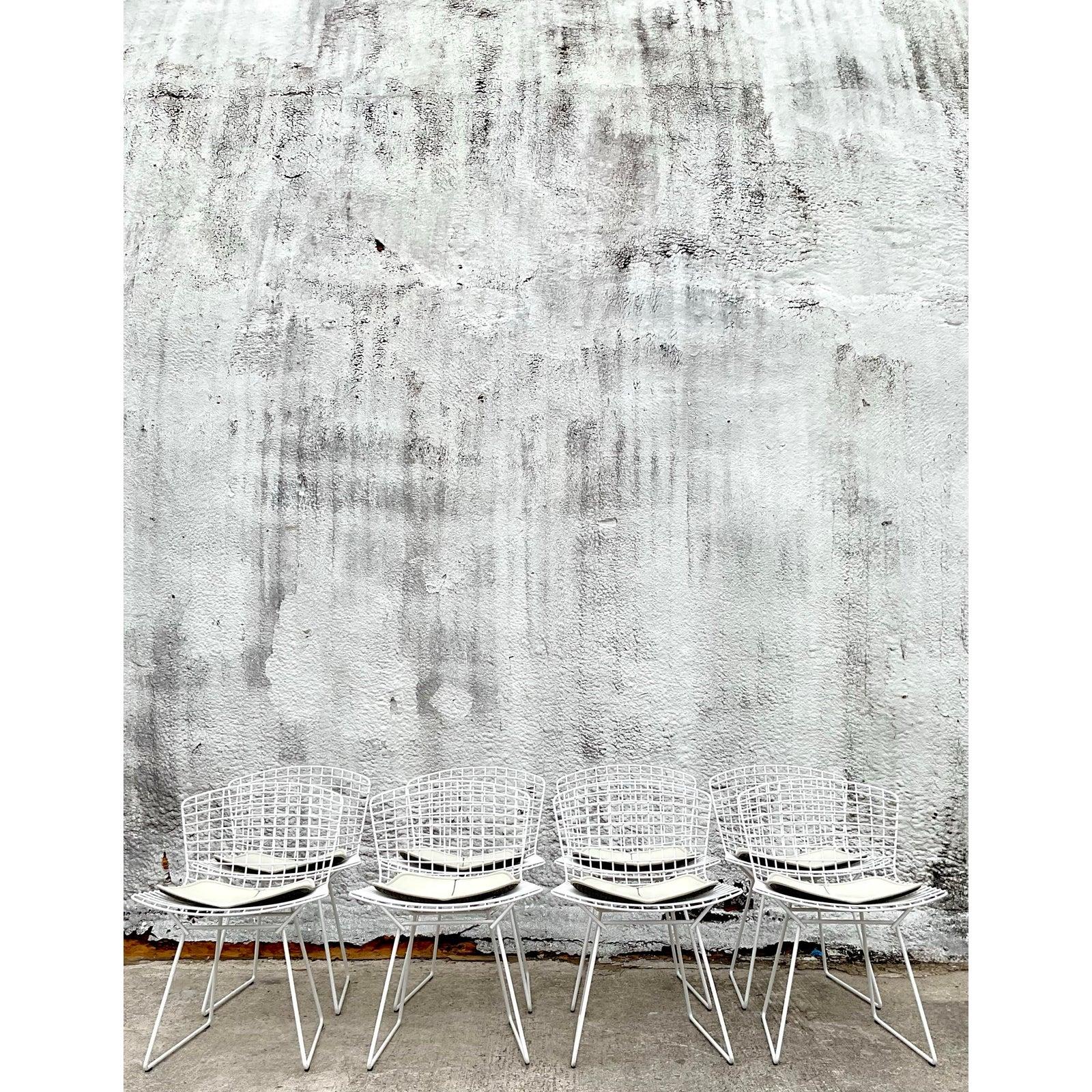 Moderne Bertoia-Drahtstühle aus der Jahrhundertmitte für Knoll - 8er-Set im Angebot 4